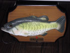 musical fish, white elephant gift